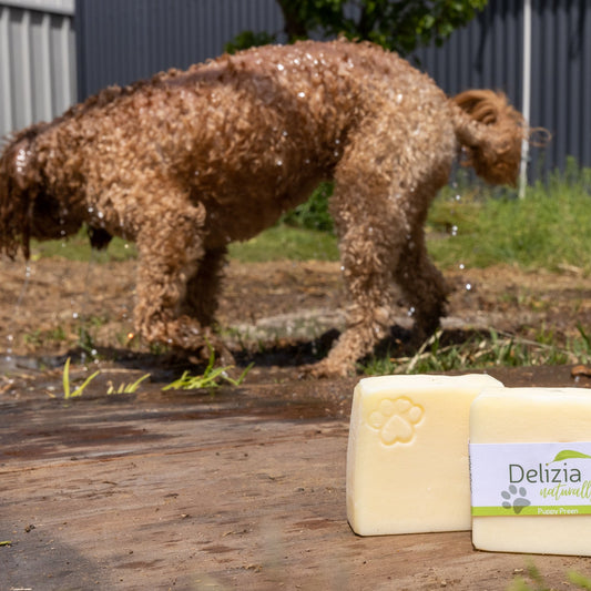 Dog near soap called Puppy Preen by Delizia Naturally