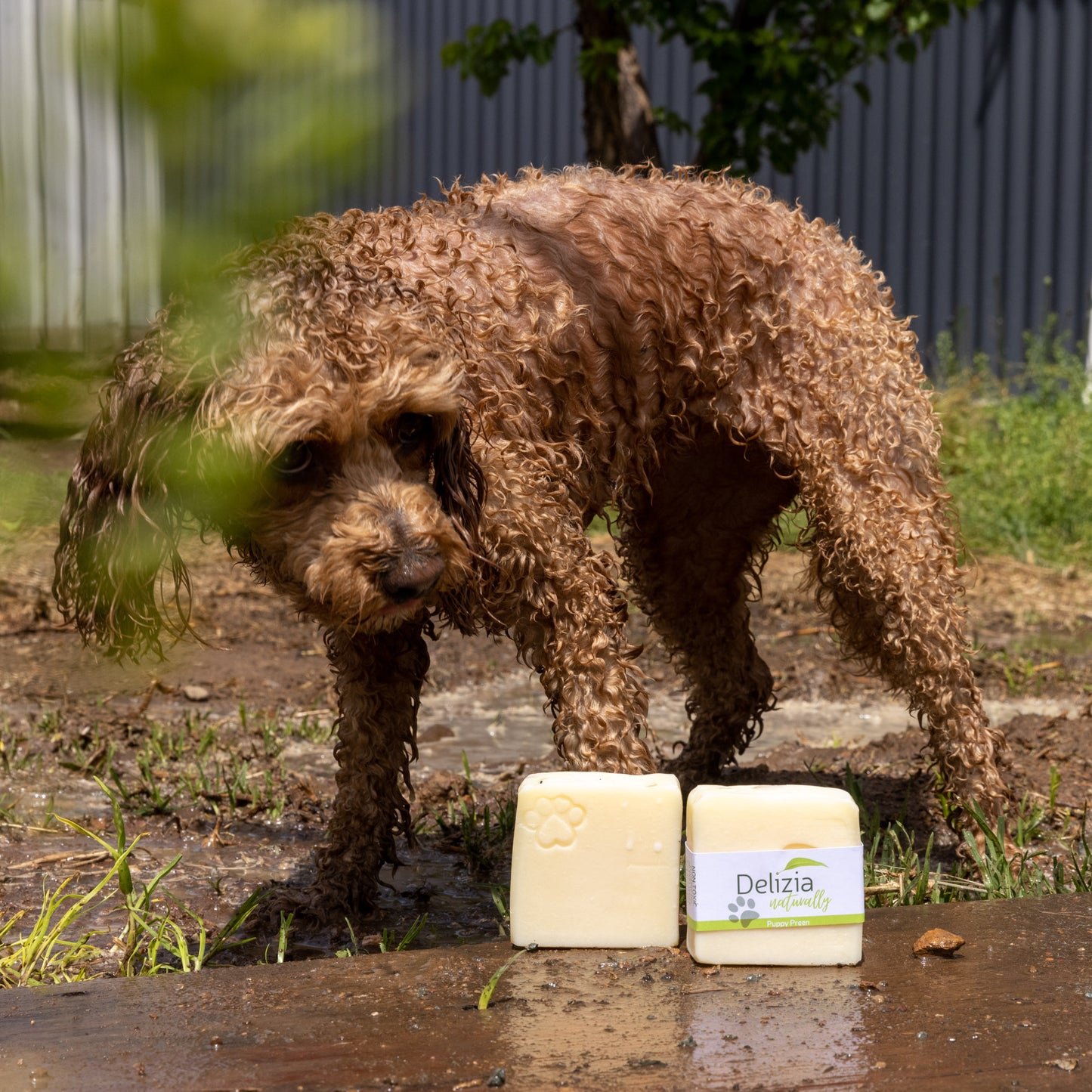 NEW! Puppy Preen - Tallow Soap - Pure - NO Essential Oils