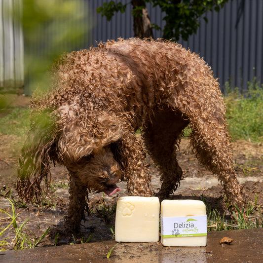 Dog licking soap called Puppy Preen by Delizia Naturally